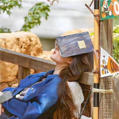 剧场版 超时空要塞F：恋离飞翼