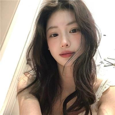 科搜研之女第24季